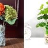 Forever bene Resin Starfish - Vase Filler + Simulated Lotus Leaf