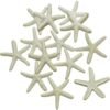 41KqQ1YKbqL._AC_-1.jpg Forever bene Resin Starfish - Vase Filler - Garland, Photo Frame, Beach Scene, Gift Box Decoration, Christmas Decoration, Beach Wedding and Mermaid Birthday Party (25 pcs White)
