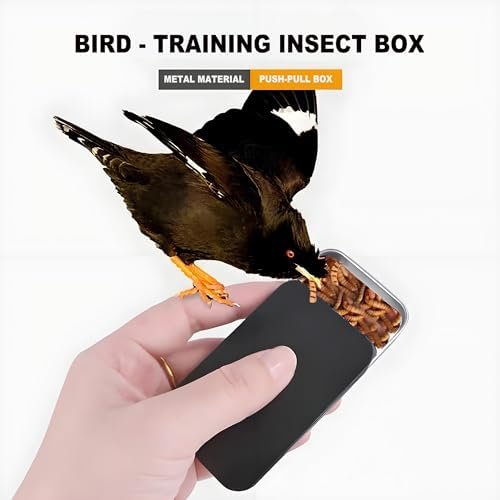 DIY Alcohol Push-Pull Box Small Metal Box With Slider Lid-4 Pcs+Forever bene Tin Box Small Metal Storage Box w/Clear LSliding metal box, bird taming food box, pet food box, bead storage box, metal box