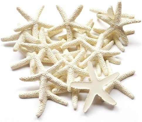 51KaPxQCVL._AC_-2.jpg Forever bene Resin Starfish - Vase Filler - Garland, Photo Frame, Beach Scene, Gift Box Decoration, Christmas Decoration, Beach Wedding and Mermaid Birthday Party (25 pcs White)
