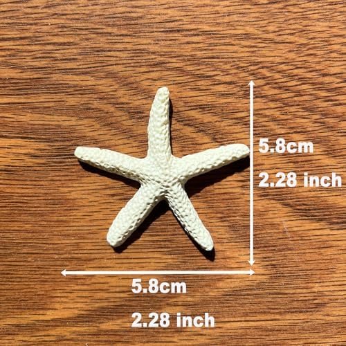 61orAIRkmgL._AC_-2.jpg Forever bene Resin Starfish - Vase Filler - Garland, Photo Frame, Beach Scene, Gift Box Decoration, Christmas Decoration, Beach Wedding and Mermaid Birthday Party (25 pcs White)