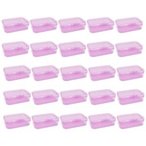 Forever bene 30-Pack Small Plastic Storage Boxes with Secure Lids, Organizer Containers for Beads, Jewelry, Crafts, Small Parts Collection (65x45x20mm) - Pink Plastic Case
