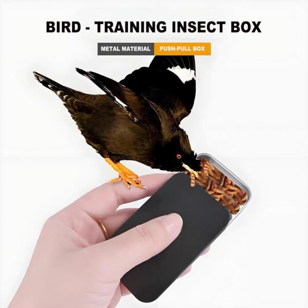 DIY Alcohol Push-Pull Box Small Metal Box With Slider Lid-4 Pcs+Forever bene Tin Box Small Metal Storage Box w/Clear LSliding metal box, bird taming food box, pet food box, bead storage box, metal box