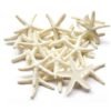 Version 1.0.0 Resin Starfish - Vase Filler - Garland, Photo Frame, Beach Scene, Gift Box Decoration, Christmas Decoration, Beach Wedding and Mermaid Birthday Party (25 pcs off white)