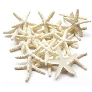 Resin Starfish - Vase Filler - Garland, Photo Frame, Beach Scene, Gift Box Decoration, Christmas Decoration, Beach Wedding and Mermaid Birthday Party (25 pcs off white)