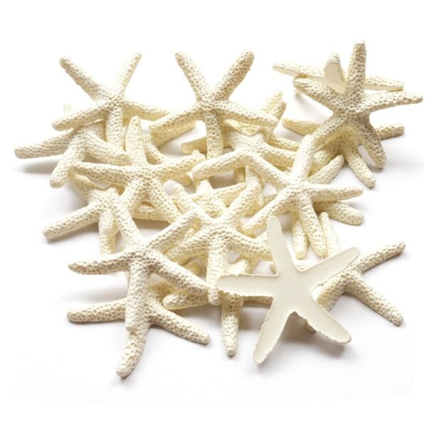 Version 1.0.0 Resin Starfish - Vase Filler - Garland, Photo Frame, Beach Scene, Gift Box Decoration, Christmas Decoration, Beach Wedding and Mermaid Birthday Party (25 pcs off white)