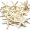 71P88jKLIRL._AC_SL1500_-2.jpg Forever bene Resin Starfish - Vase Filler - Garland, Photo Frame, Beach Scene, Gift Box Decoration, Christmas Decoration, Beach Wedding and Mermaid Birthday Party (25 pcs White)
