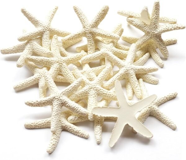 71P88jKLIRL._AC_SL1500_-2.jpg Forever bene Resin Starfish - Vase Filler - Garland, Photo Frame, Beach Scene, Gift Box Decoration, Christmas Decoration, Beach Wedding and Mermaid Birthday Party (25 pcs White)