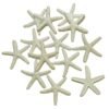 Version 1.0.0 Resin Starfish - Vase Filler - Garland, Photo Frame, Beach Scene, Gift Box Decoration, Christmas Decoration, Beach Wedding and Mermaid Birthday Party (25 pcs off white)