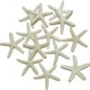 71WSrXG8txL._AC_SL1500_-1.jpg Forever bene Resin Starfish - Vase Filler - Garland, Photo Frame, Beach Scene, Gift Box Decoration, Christmas Decoration, Beach Wedding and Mermaid Birthday Party (25 pcs White)