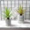 Version 1.0.0 2 PCS Artificial Agave Succulents Plants Real Touch Lifelike Succulants Plants Faux Greenery Garden DIY Home Office Decoration Ornament
