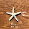 91HgV01S9ZL._AC_SL1500_-2.jpg Forever bene Resin Starfish - Vase Filler - Garland, Photo Frame, Beach Scene, Gift Box Decoration, Christmas Decoration, Beach Wedding and Mermaid Birthday Party (25 pcs White)