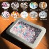 Version 1.0.0 Forever Bene Tin Box Small Metal Storage Box w/Clear Lid - Portable for Beads, JewelryCrafts, Zyn Tin,Mint Candy,Small Items Travel,Stackable,DIY,Versatile,With Adhesive Label (Silvery 12 Pcs)